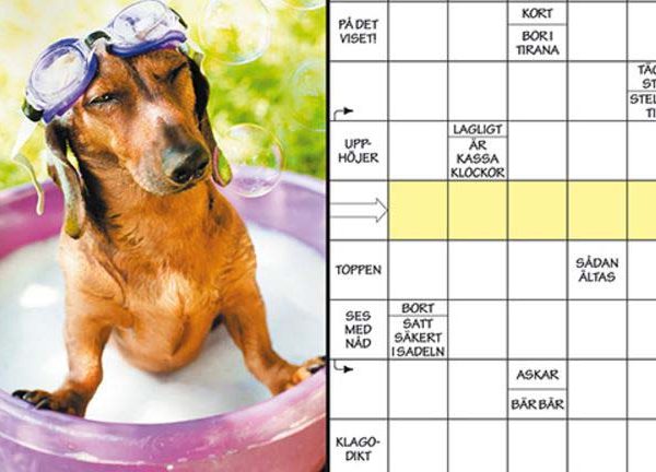 Hänryckning korsord – En resa genom ordens magi och glädje
