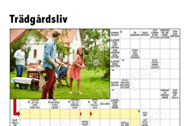Sjöfåglar korsord: Upptäck den fascinerande världen av havets fåglar